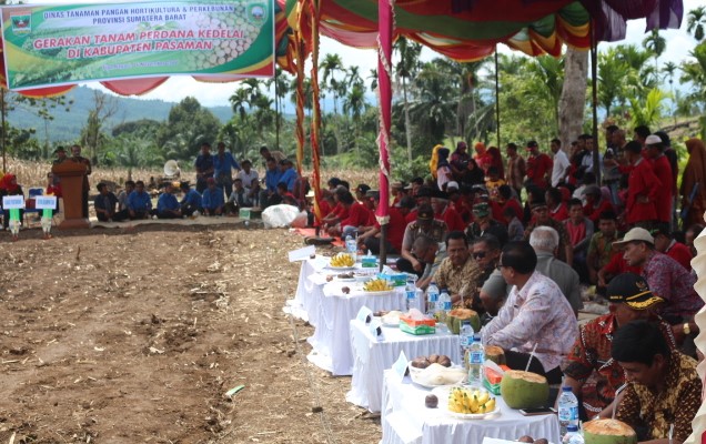 Pemda Pasaman Selenggarakan Gerakan Tanam Perdana Kedele