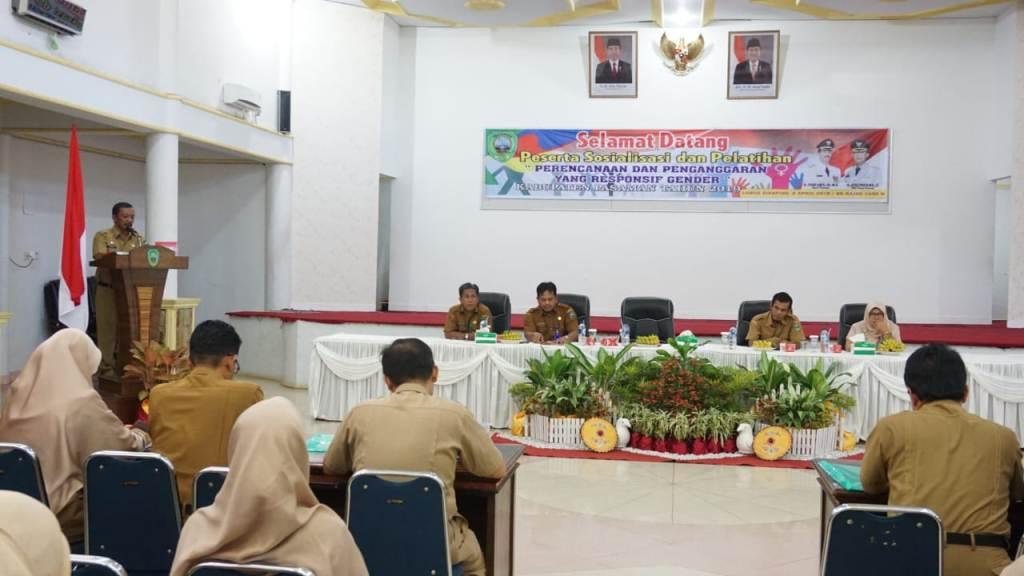 PASAMAN GELAR PELATIHAN DAN SOSIALISASI  PERENCANAAN DAN PENGANGGARAN RESPONSIF GENDER 