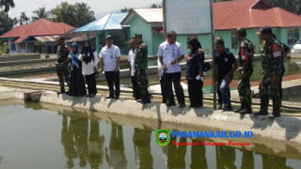 Dinas Perikanan  Bersama Kodim 0305 / Pasaman  Kunjungi Komplek BBI Beringin Kecamatan Rao Selatan