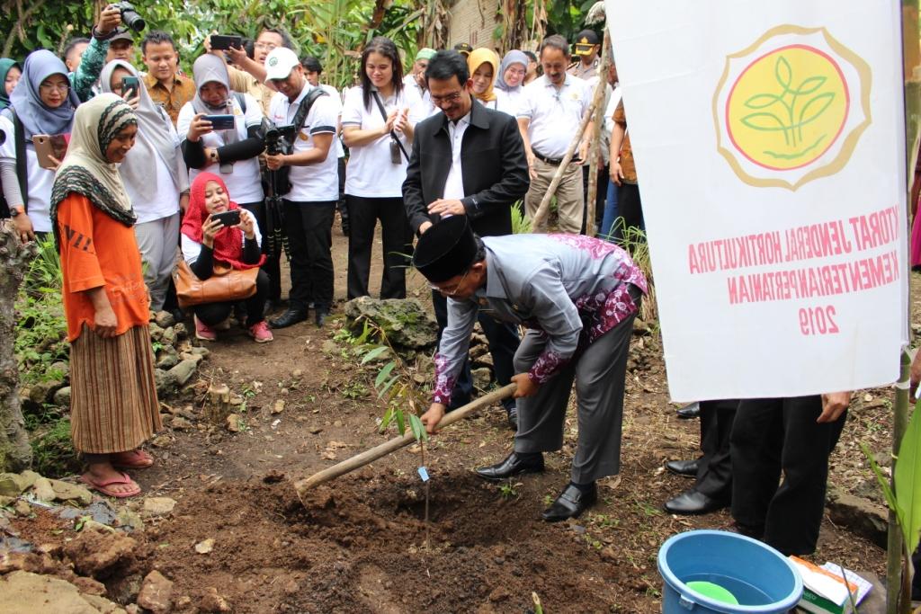 LAUNCHING BANTUAN PROGRAM BEKERJA SUBSEKTOR HORTIKULTURA KEMENTAN RI DI KABUPATEN PASAMAN