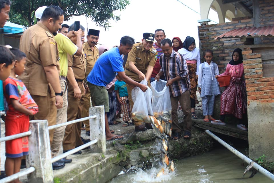 Bupati Pasaman Sabar AS Lepas Bibit Ikan Larangan