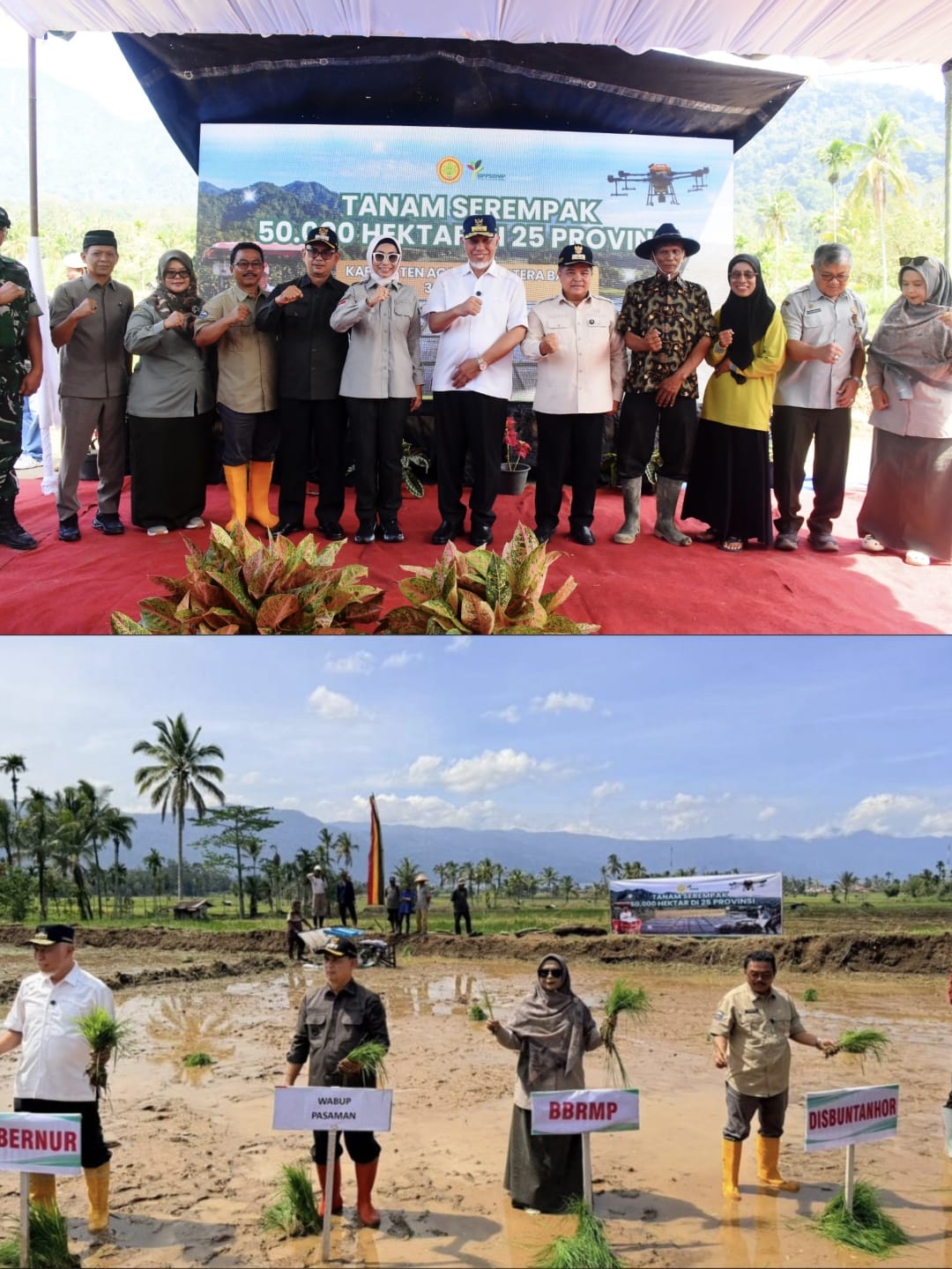 Akselerasi Ketahanan Pangan: Wabup Parulian Ikuti Pencanangan Tanam Serempak 50 Ribu Hektare