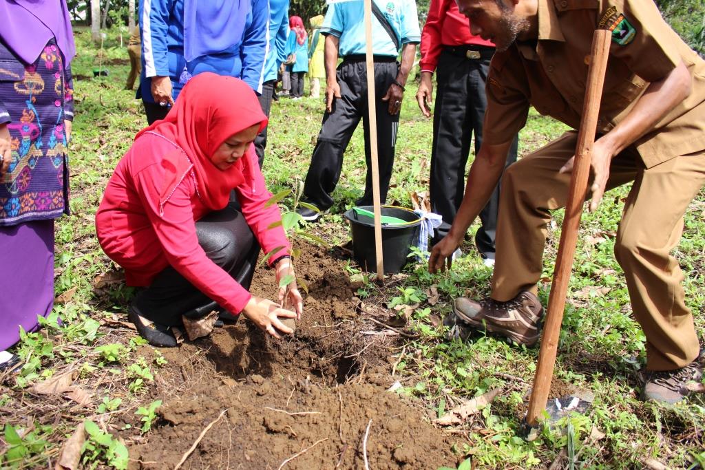 Ketua TP PKK Kabupaten Pasaman Ny Hj Suryani Nst Yusuf Lubis sedang menanam pohon di acara Hari Bumi Tingkat Sumbar Tahun 2019