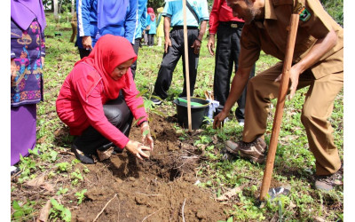 Ketua TP PKK Kabupaten Pasaman Ny Hj Suryani Nst Yusuf Lubis sedang menanam pohon di acara Hari Bumi Tingkat Sumbar Tahun 2019